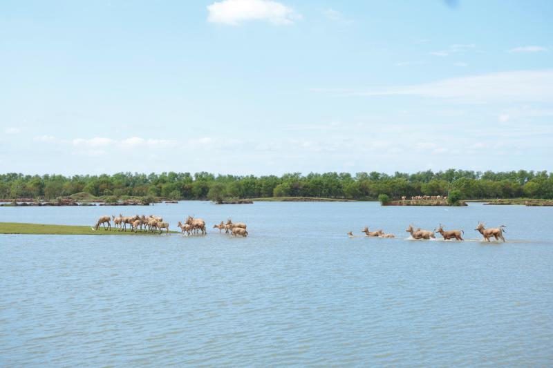 《新华日报》整版聚焦老虎机必赢
：金融“活水”添绿意， “碳”路前行赢未来